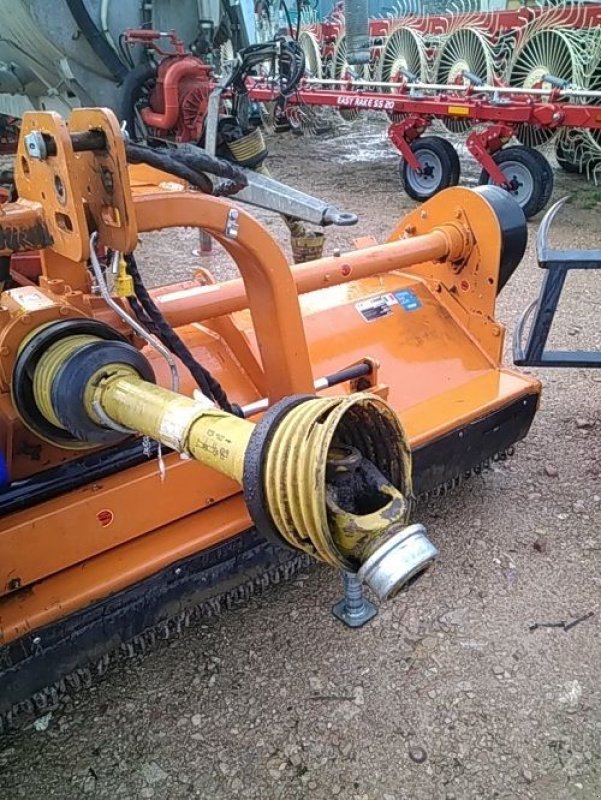 Mulchgerät & Häckselgerät tipa Berti TFB/M285, Gebrauchtmaschine u NANTEY (Slika 1)