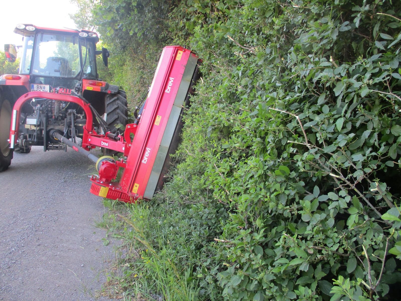 Mulchgerät & Häckselgerät typu Breviglieri Master, Vorführmaschine v Altenmarkt (Obrázek 5)