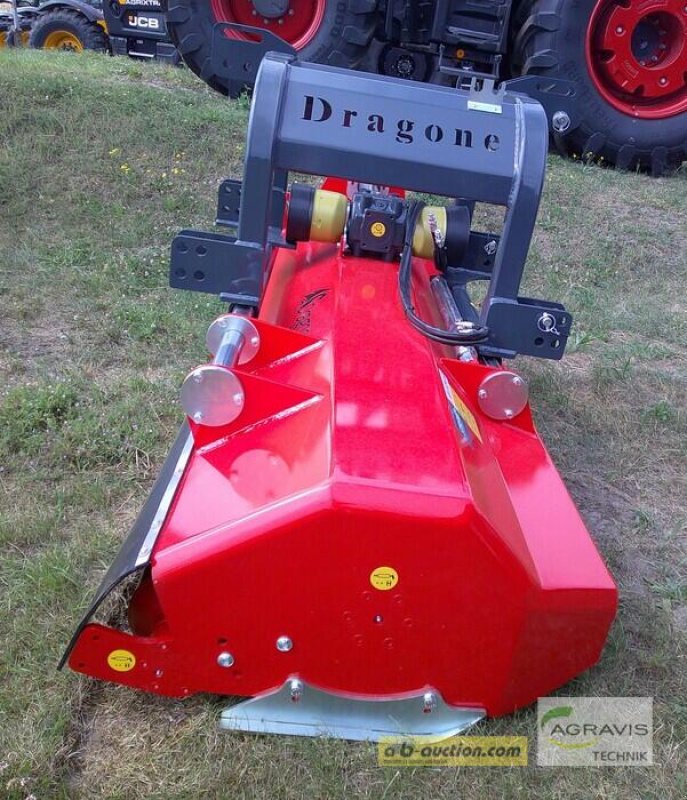 Mulchgerät & Häckselgerät типа DRAGONE V 260, Gebrauchtmaschine в Seelow (Фотография 3)