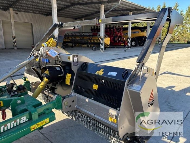 Mulchgerät & Häckselgerät del tipo FAE FML/DT-200, Gebrauchtmaschine In Seelow (Immagine 1)
