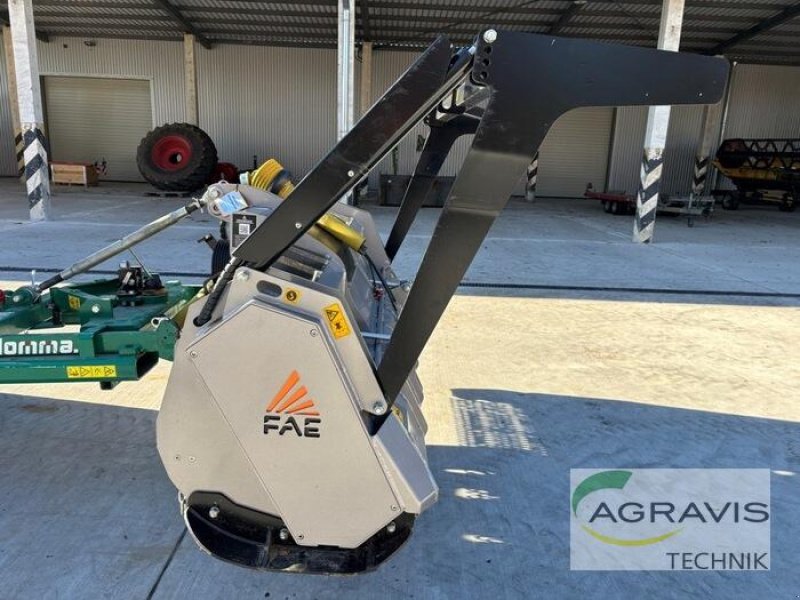 Mulchgerät & Häckselgerät del tipo FAE FML/DT-200, Gebrauchtmaschine In Seelow (Immagine 2)