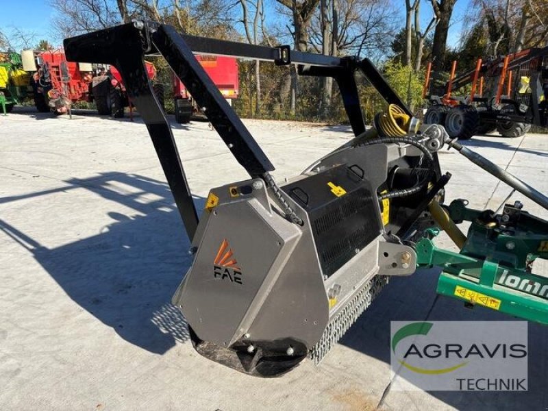 Mulchgerät & Häckselgerät del tipo FAE FML/DT-200, Gebrauchtmaschine In Seelow (Immagine 5)