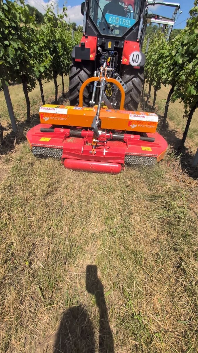 Mulchgerät & Häckselgerät van het type Fischer BV 3 165 -240, Gebrauchtmaschine in Harmannsdorf-Rückersdorf (Foto 5)