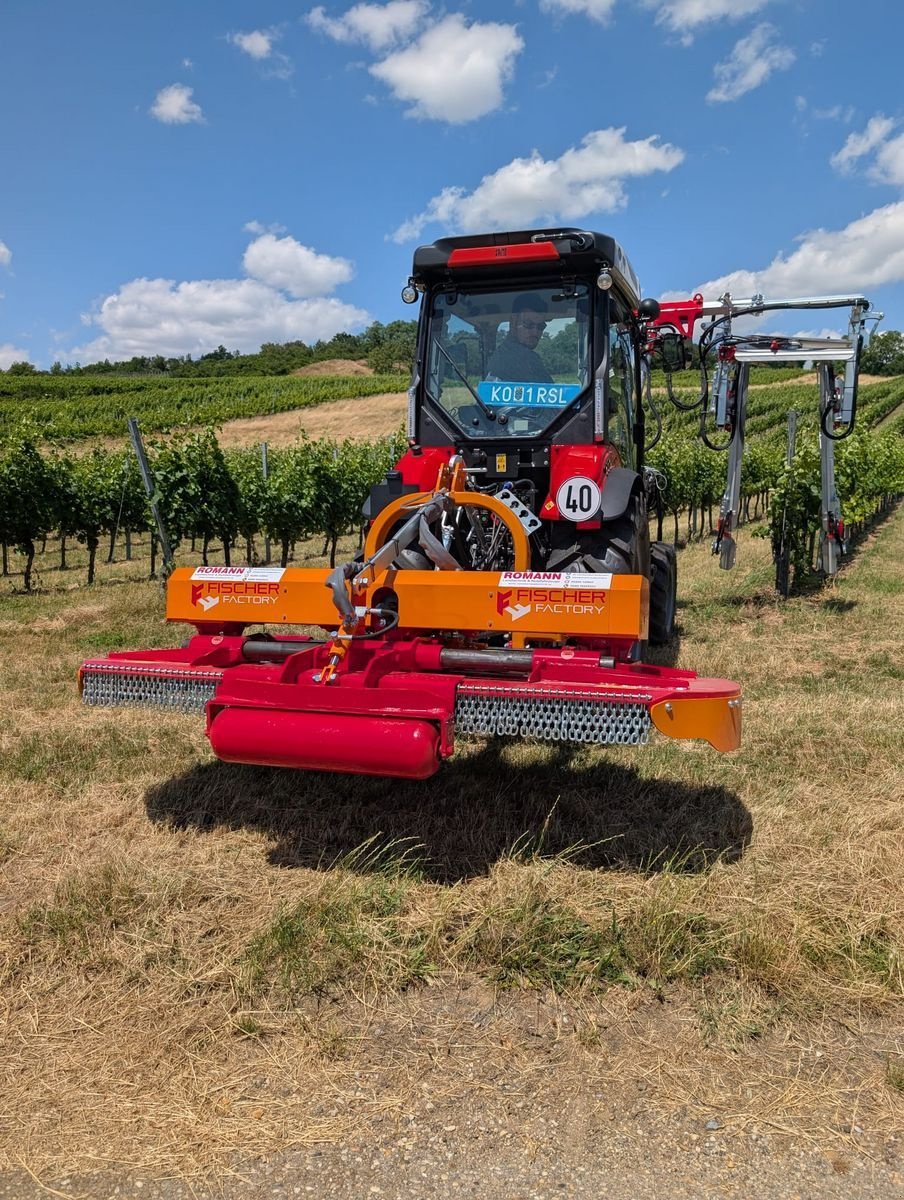 Mulchgerät & Häckselgerät van het type Fischer BV 3 165 -240, Gebrauchtmaschine in Harmannsdorf-Rückersdorf (Foto 1)