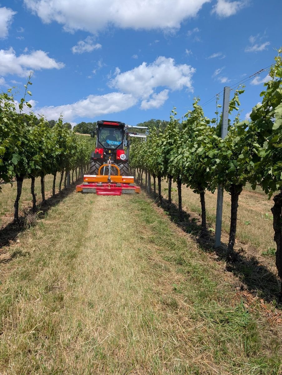 Mulchgerät & Häckselgerät van het type Fischer BV 3 165 -240, Gebrauchtmaschine in Harmannsdorf-Rückersdorf (Foto 7)