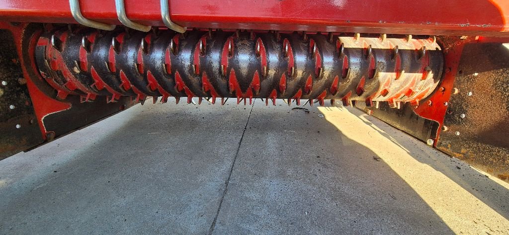 Mulchgerät & Häckselgerät του τύπου Forigo D35-150, Gebrauchtmaschine σε LESTREM (Φωτογραφία 4)