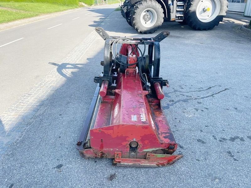 Mulchgerät & Häckselgerät typu Forigo FT 10 R 250 Mulcher, Gebrauchtmaschine v St. Marienkirchen (Obrázek 4)