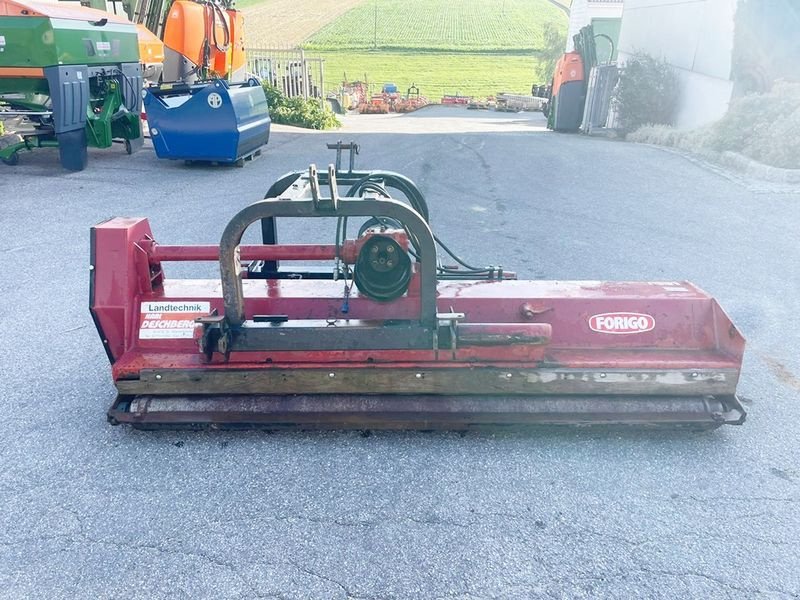 Mulchgerät & Häckselgerät typu Forigo FT 10 R 250 Mulcher, Gebrauchtmaschine v St. Marienkirchen (Obrázek 6)