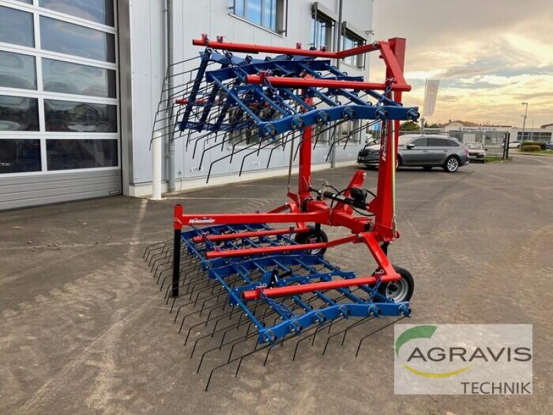 Mulchgerät & Häckselgerät typu Hatzenbichler ORIGINAL STRIEGEL 6,00 M, Neumaschine w Fritzlar (Zdjęcie 3)