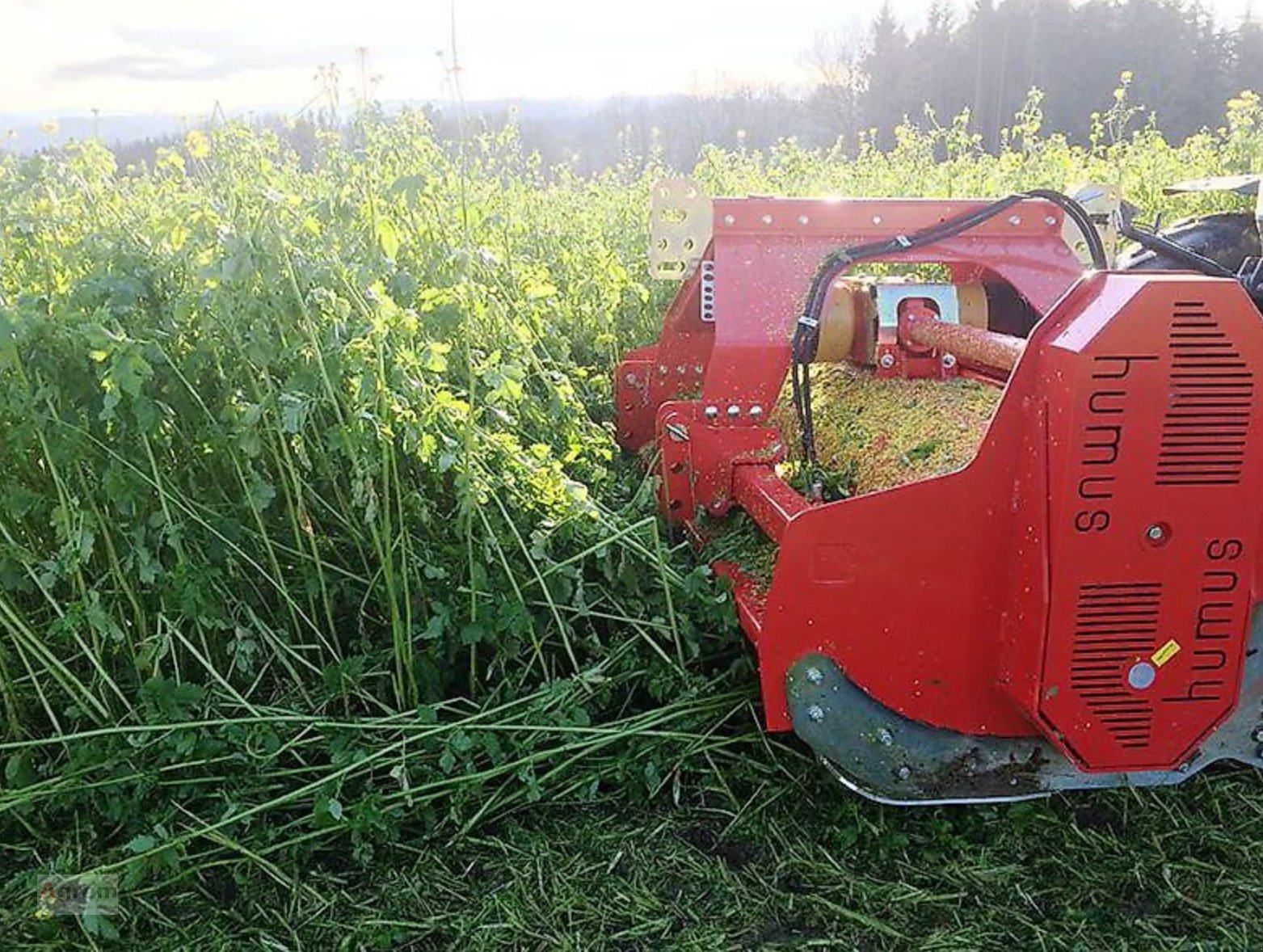 Mulchgerät & Häckselgerät типа Humus PM280 +Messerwalze, Gebrauchtmaschine в Herrenberg-Gültstein (Фотография 17)