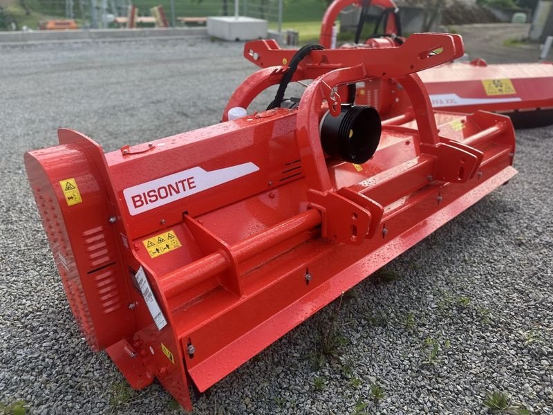 Mulchgerät & Häckselgerät типа Maschio Bisonte 250 Mulcher, Neumaschine в St. Marienkirchen (Фотография 2)