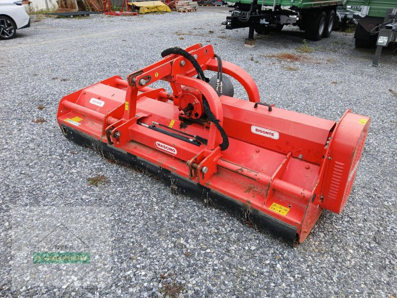 Mulchgerät & Häckselgerät des Typs Maschio Bisonte 250, Gebrauchtmaschine in Voitsberg (Bild 1)