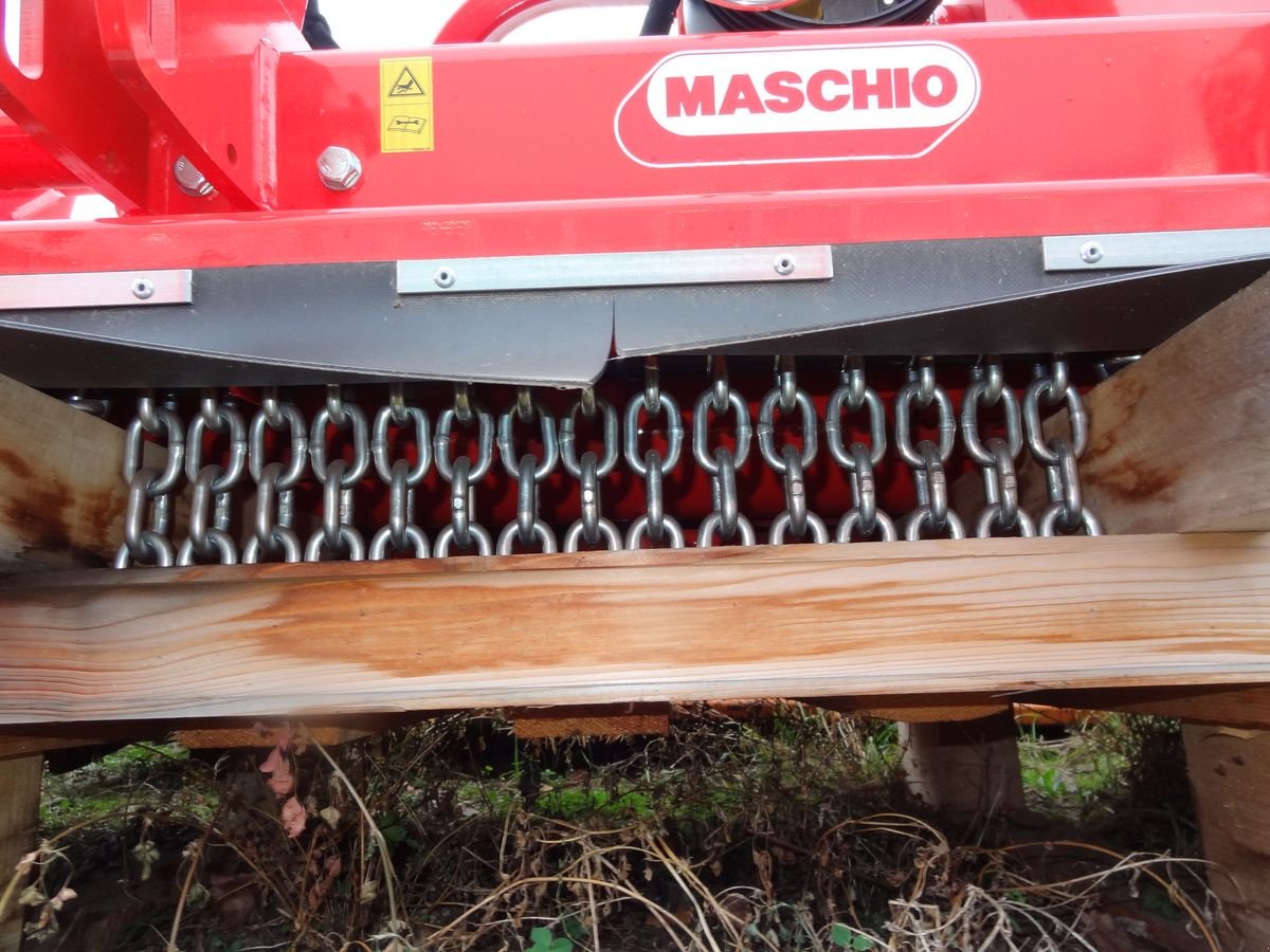 Mulchgerät & Häckselgerät des Typs Maschio Bisonte 250, Neumaschine in Harmannsdorf-Rückersdorf (Bild 29)