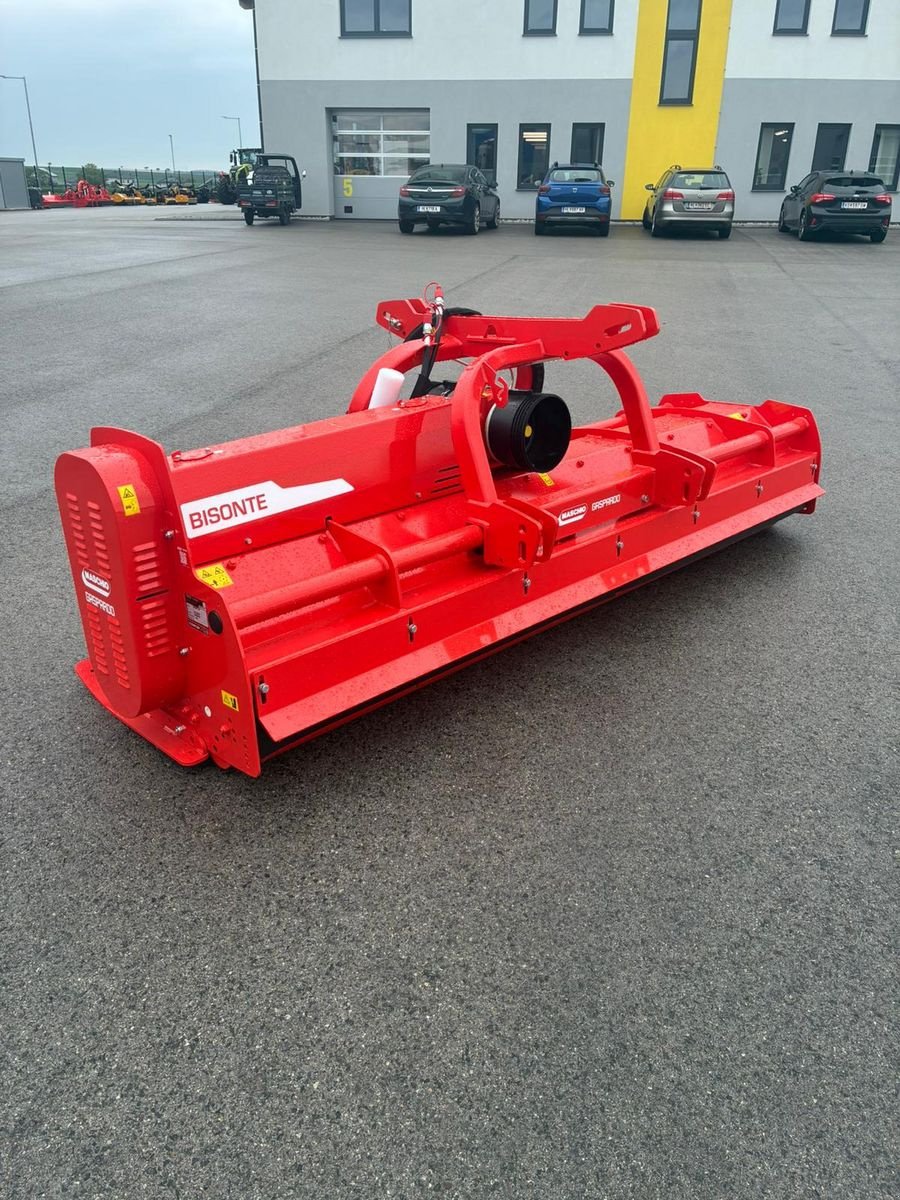 Mulchgerät & Häckselgerät des Typs Maschio Bisonte  300, Neumaschine in Grund (Bild 4)