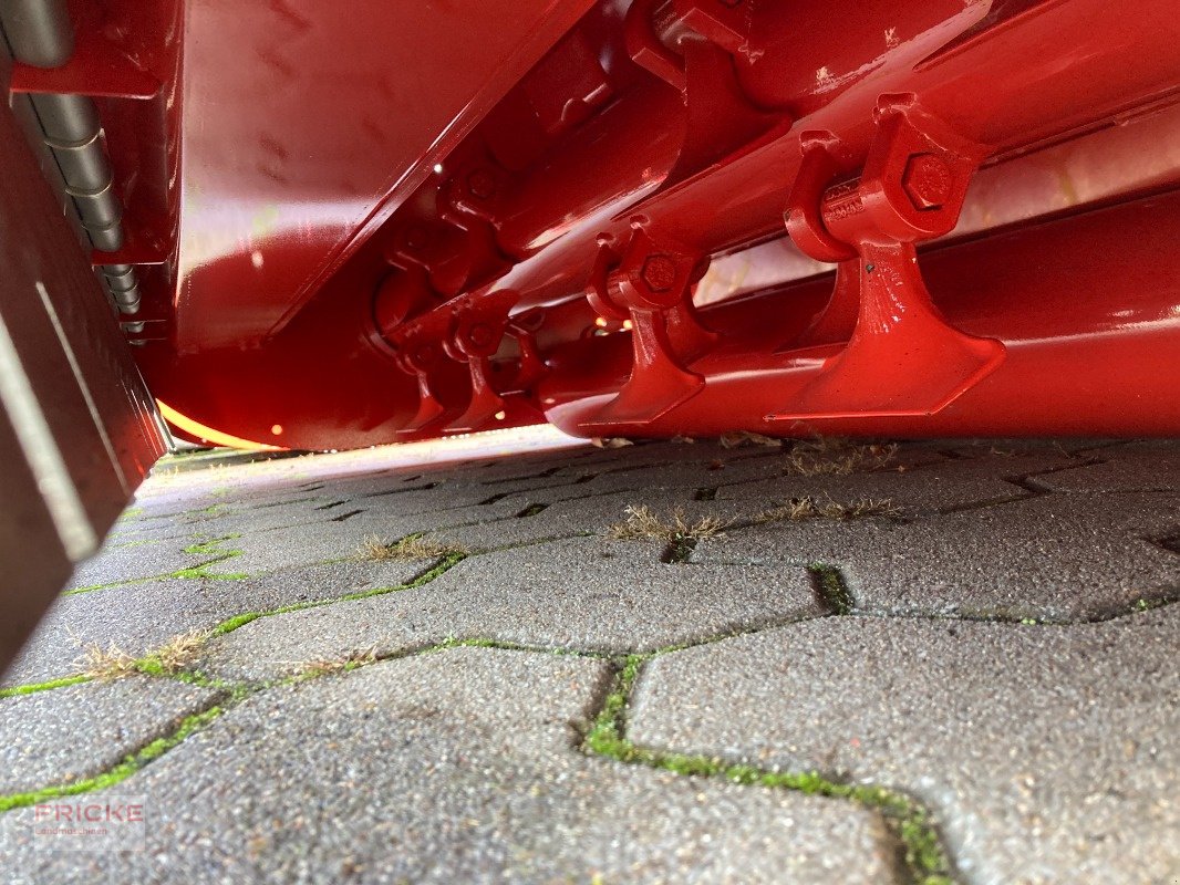 Mulchgerät & Häckselgerät des Typs Maschio Brava 160, Neumaschine in Bockel - Gyhum (Bild 7)