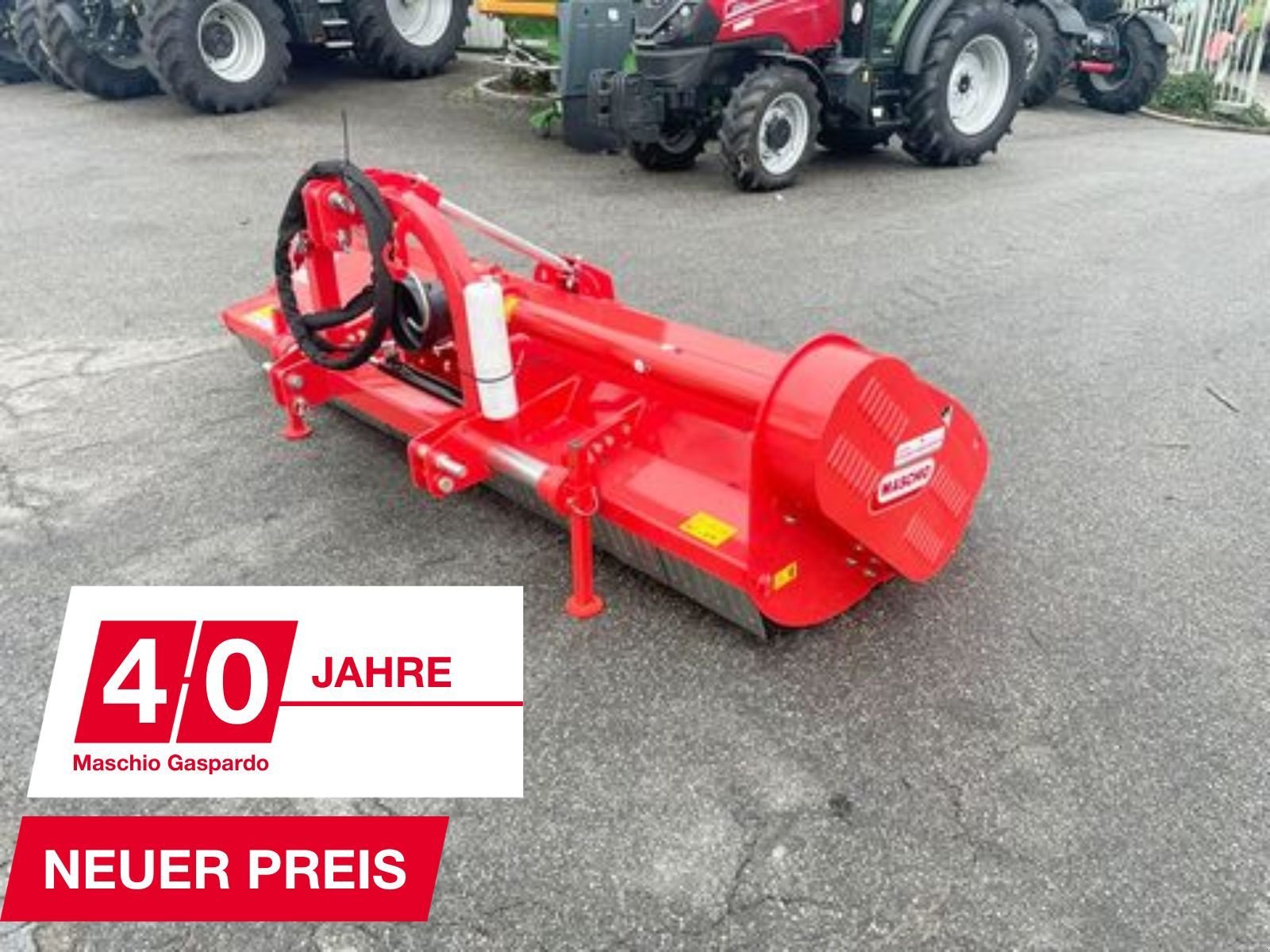 Mulchgerät & Häckselgerät Türe ait Maschio Brava 250 Mulcher, Neumaschine içinde St. Marienkirchen (resim 1)