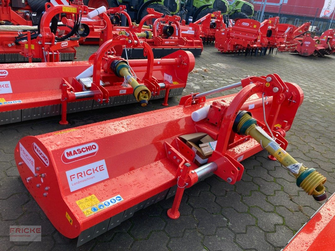 Mulchgerät & Häckselgerät Türe ait Maschio Brava 250, Neumaschine içinde Bockel - Gyhum (resim 4)