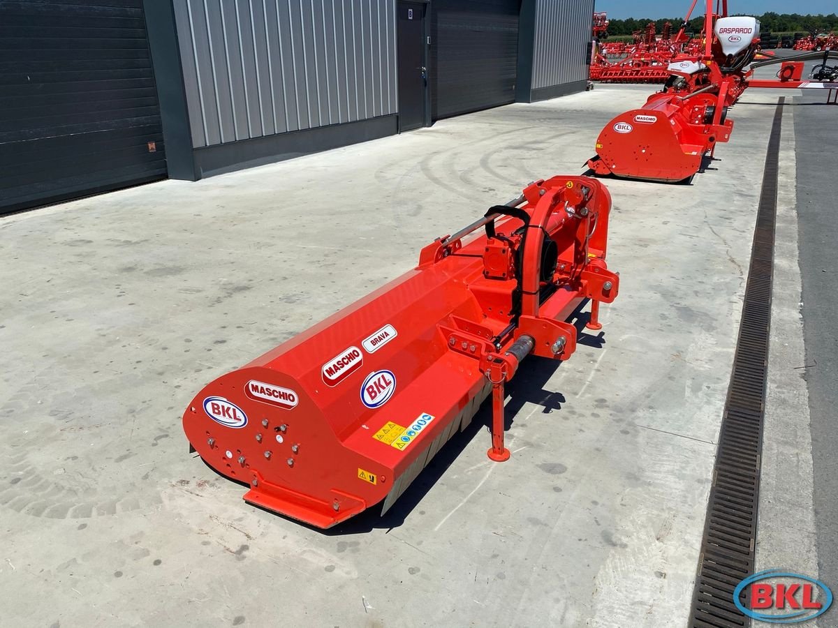 Mulchgerät & Häckselgerät des Typs Maschio Brava L 250, Neumaschine in Rovisce (Bild 1)