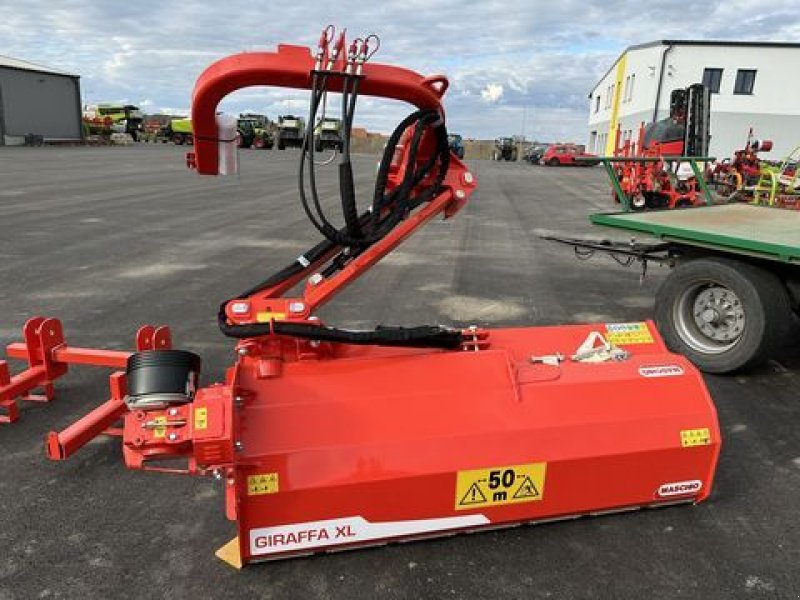 Mulchgerät & Häckselgerät of the type Maschio Giraffa XL 210 SE, Neumaschine in Grund (Picture 4)