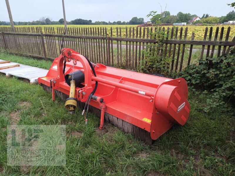 Mulchgerät & Häckselgerät tipa Maschio Tornado 310, Gebrauchtmaschine u Burg/Spreewald