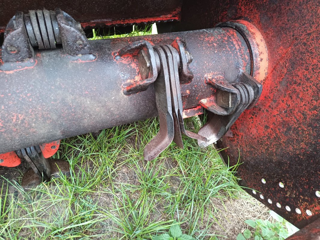 Mulchgerät & Häckselgerät za tip Maschio Tornado 310, Gebrauchtmaschine u Burg/Spreewald (Slika 5)