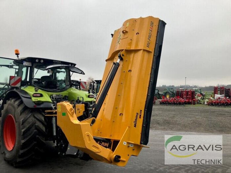Mulchgerät & Häckselgerät a típus Müthing MU-PRO S, Gebrauchtmaschine ekkor: Fritzlar (Kép 4)