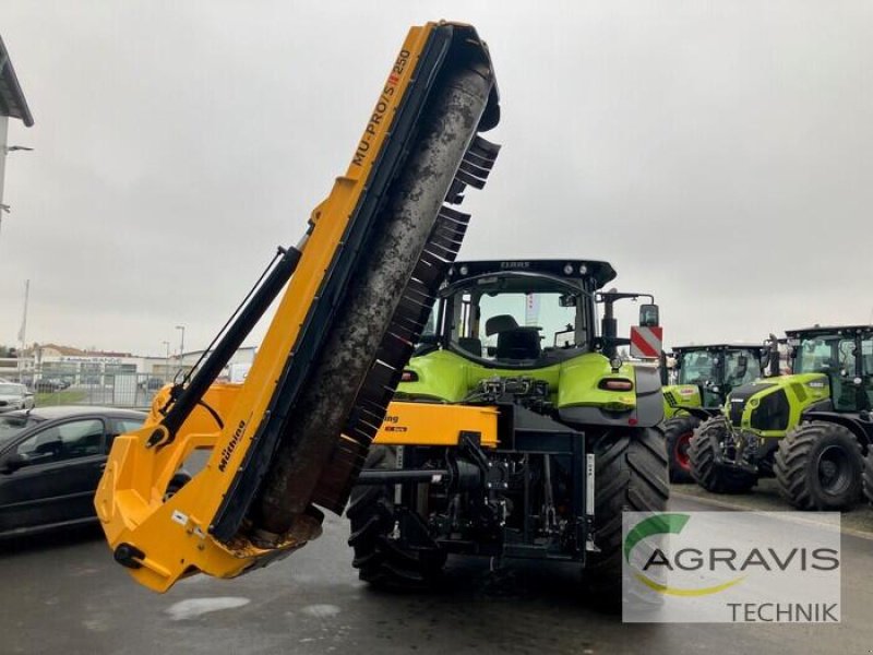 Mulchgerät & Häckselgerät typu Müthing MU-PRO S, Gebrauchtmaschine v Fritzlar (Obrázok 5)