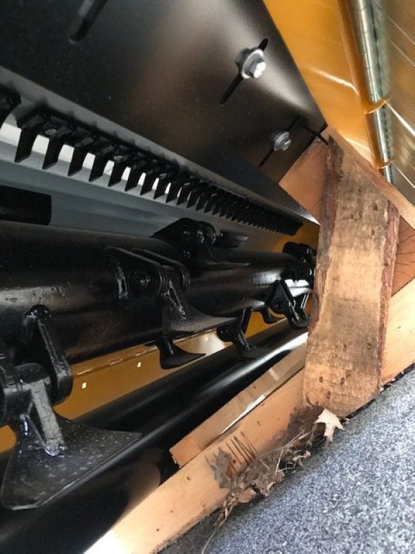 Mulchgerät & Häckselgerät Türe ait Müthing Mulcher MU-M250 Vario Front- und Heck, Neumaschine içinde Tamsweg (resim 11)
