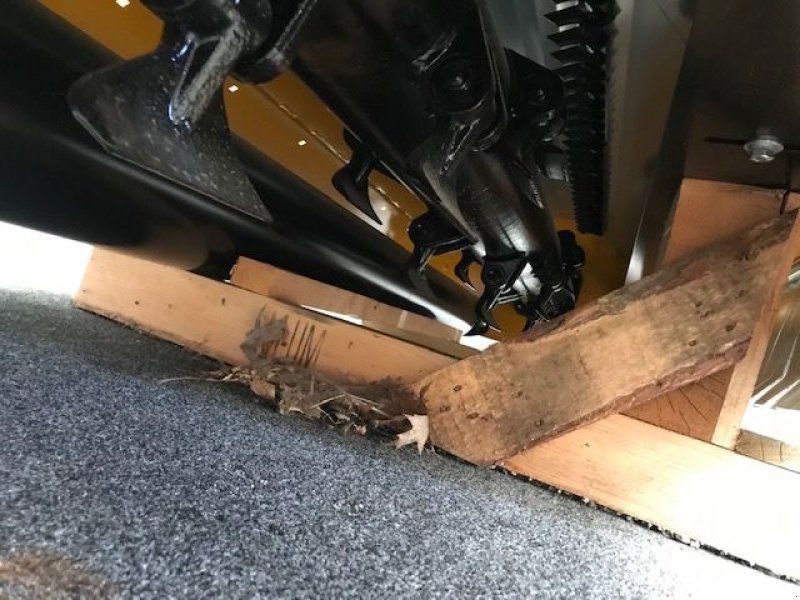 Mulchgerät & Häckselgerät Türe ait Müthing Mulcher MU-M250 Vario Front- und Heck, Neumaschine içinde Tamsweg (resim 12)