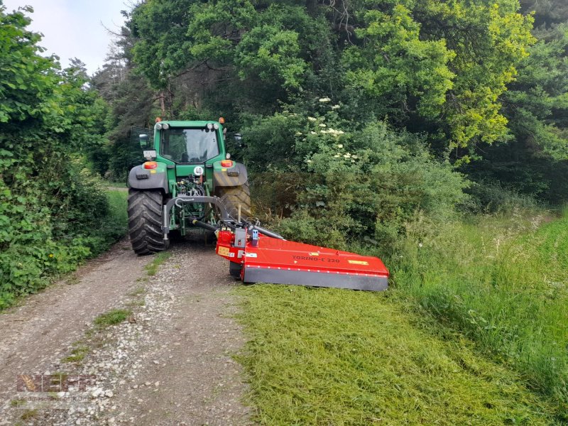 Mulchgerät & Häckselgerät типа Omarv -	Böschungsmulcher Seitenmulcher Omarv Torino 220 E, Neumaschine в Neudrossenfeld (Фотография 1)