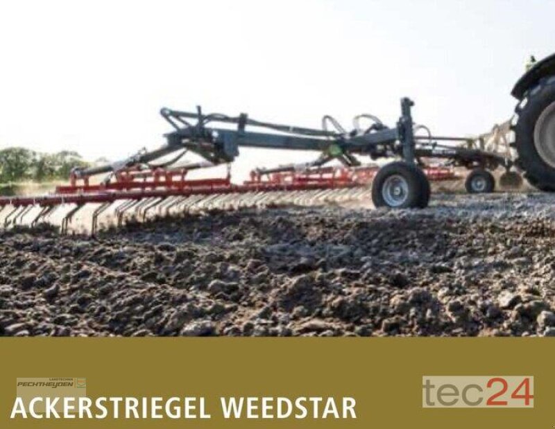 Mulchgerät & Häckselgerät типа Saphir Striegel WS 900, Neumaschine в Rees (Фотография 2)