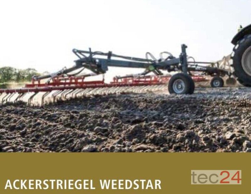 Mulchgerät & Häckselgerät del tipo Saphir Striegel WS 900, Neumaschine en Rees (Imagen 2)