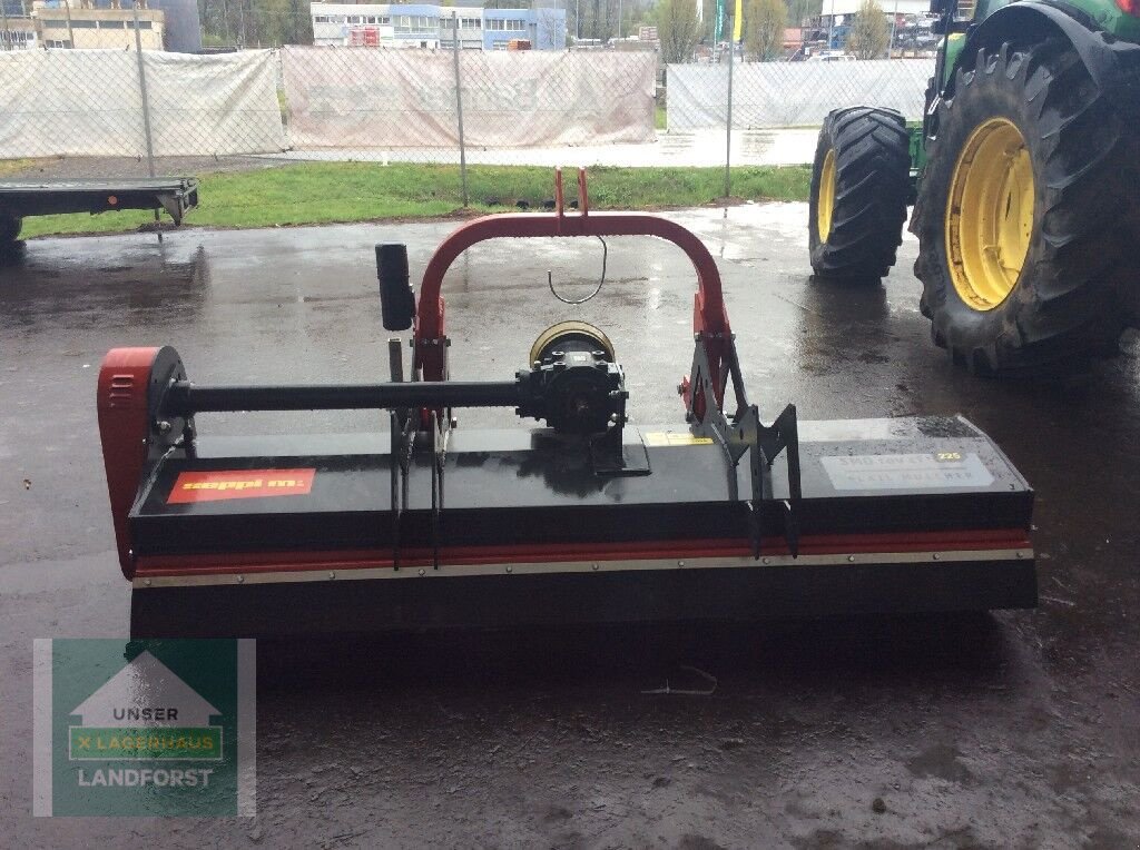 Mulchgerät & Häckselgerät des Typs Seppi SMO REV CF 225, Neumaschine in Kobenz bei Knittelfeld (Bild 1)