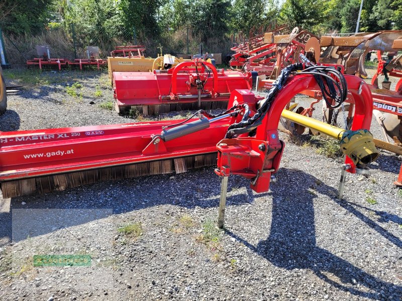 Mulchgerät & Häckselgerät des Typs Sonstige Breviglieri Hypermaster XL 250, Gebrauchtmaschine in Gleisdorf (Bild 1)