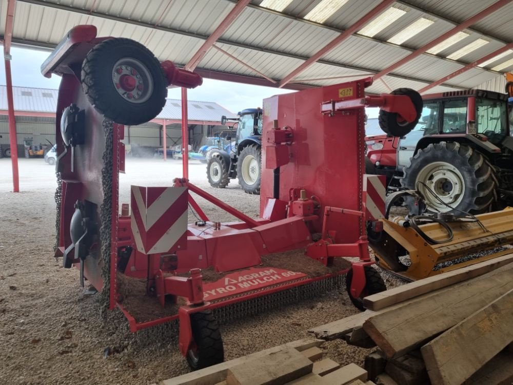 Mulchgerät & Häckselgerät del tipo Sonstige FW 600 GYRO MULCH, Gebrauchtmaschine In FRESNAY LE COMTE (Immagine 4)