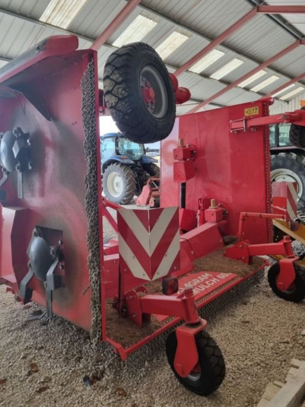 Mulchgerät & Häckselgerät del tipo Sonstige FW 600 GYRO MULCH, Gebrauchtmaschine In FRESNAY LE COMTE (Immagine 5)