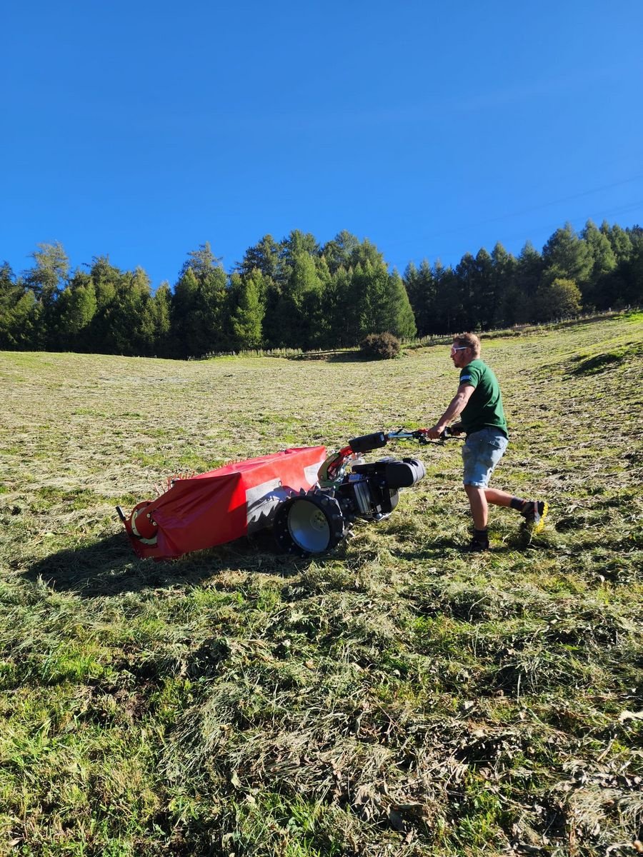 Mulchgerät & Häckselgerät tip Sonstige Rapid Worber, Neumaschine in Ried im Oberinntal (Poză 5)