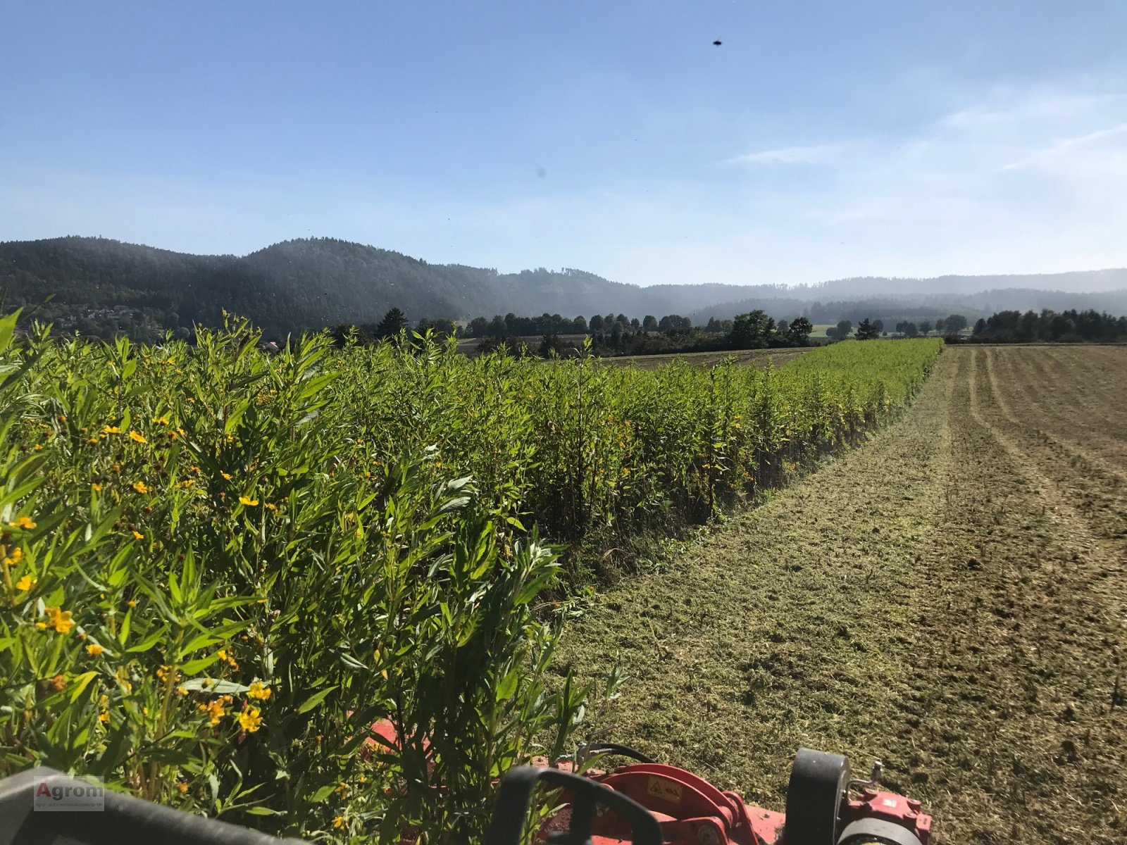 Mulchgerät & Häckselgerät van het type Tehnos MB 220 R LW Profi, Neumaschine in Riedhausen (Foto 3)