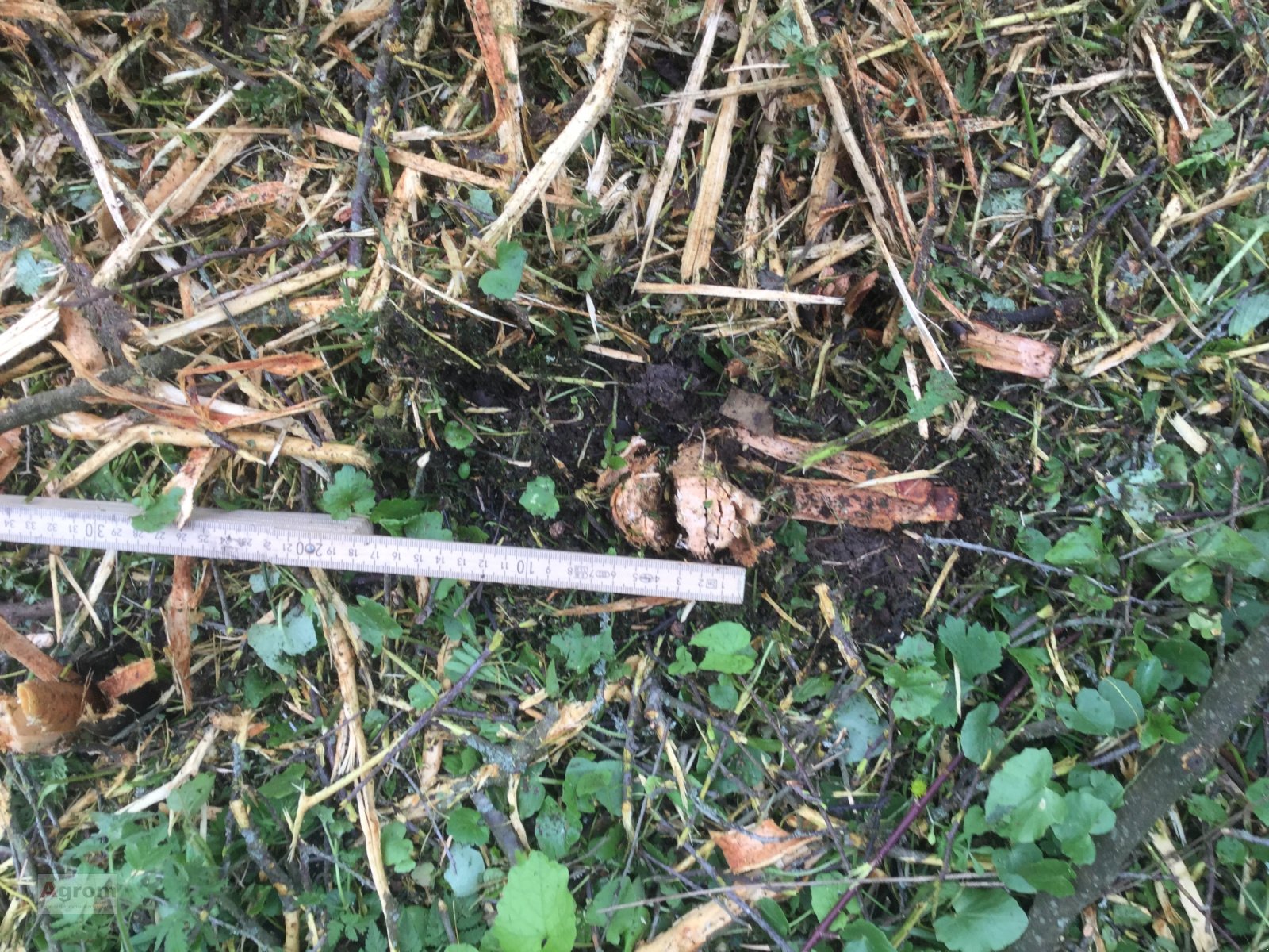 Mulchgerät & Häckselgerät van het type Tehnos MB 220 R LW Profi, Neumaschine in Riedhausen (Foto 15)