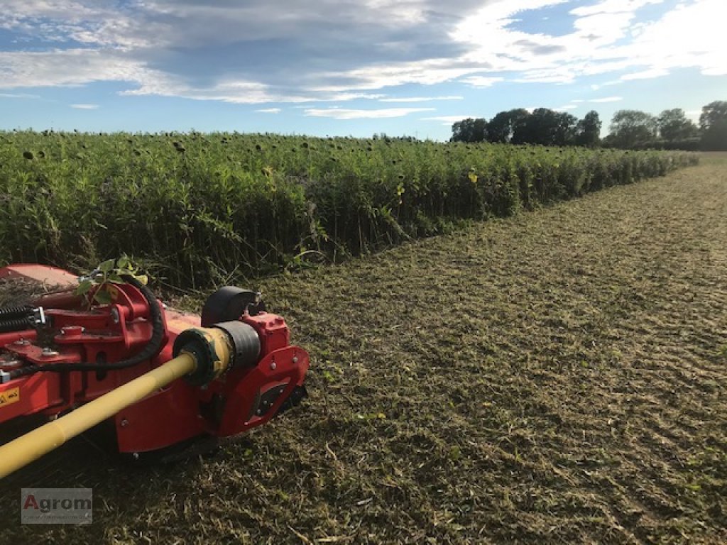 Mulchgerät & Häckselgerät от тип Tehnos MB 220 R LW Profi, Neumaschine в Herrenberg-Gültstein (Снимка 7)
