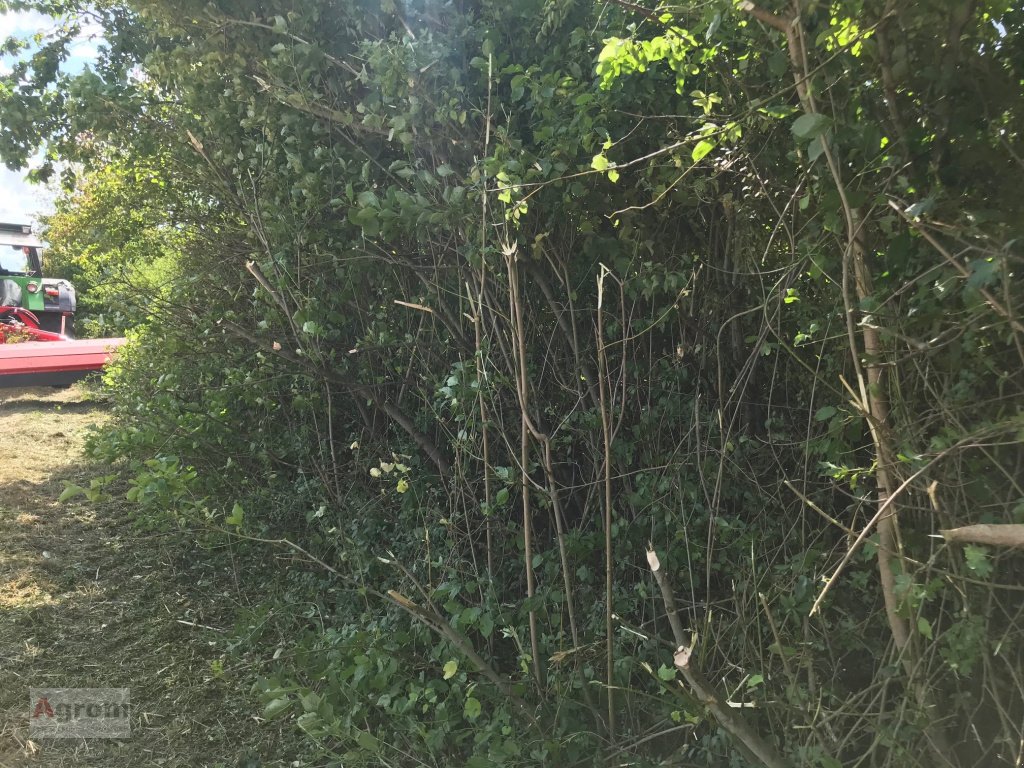 Mulchgerät & Häckselgerät от тип Tehnos MB 220 R LW Profi, Neumaschine в Herrenberg-Gültstein (Снимка 15)