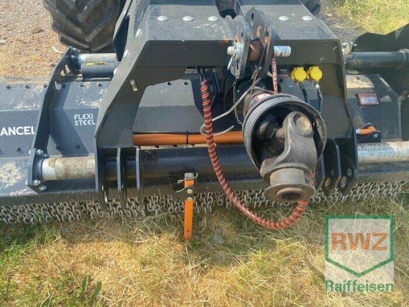 Mulchgerät & Häckselgerät des Typs TMC Cancela TMS-250D, Gebrauchtmaschine in Kusel (Bild 2)