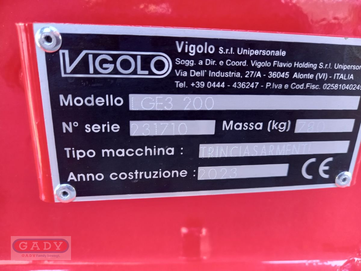 Mulchgerät & Häckselgerät des Typs Vigolo LGE3 200 SEITENMULCHER, Neumaschine in Lebring (Bild 12)