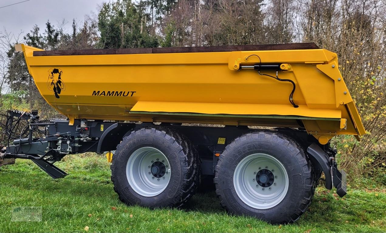 Muldenkipper des Typs Mammut 22/24, Neumaschine in Honigsee (Bild 3)