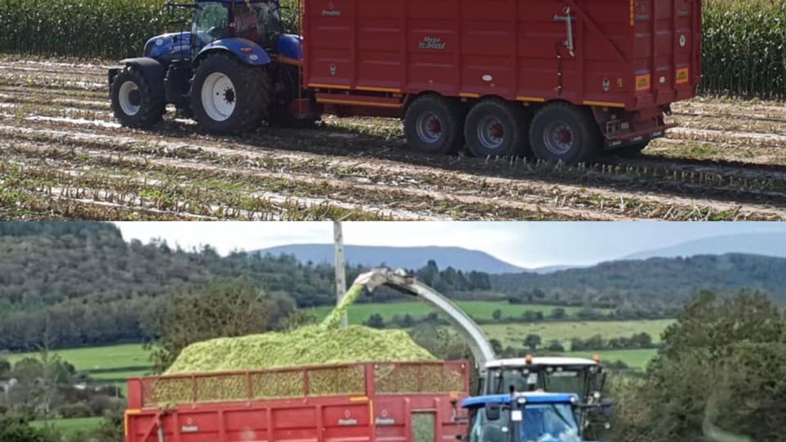 Muldenkipper del tipo Sonstige Mega Highspeed 24, Gebrauchtmaschine In Mariager (Immagine 15)