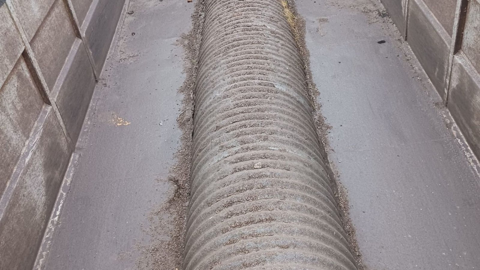 Muldenkipper типа Sonstige tipvogn med tørreri, Gebrauchtmaschine в Hejnsvig (Фотография 8)