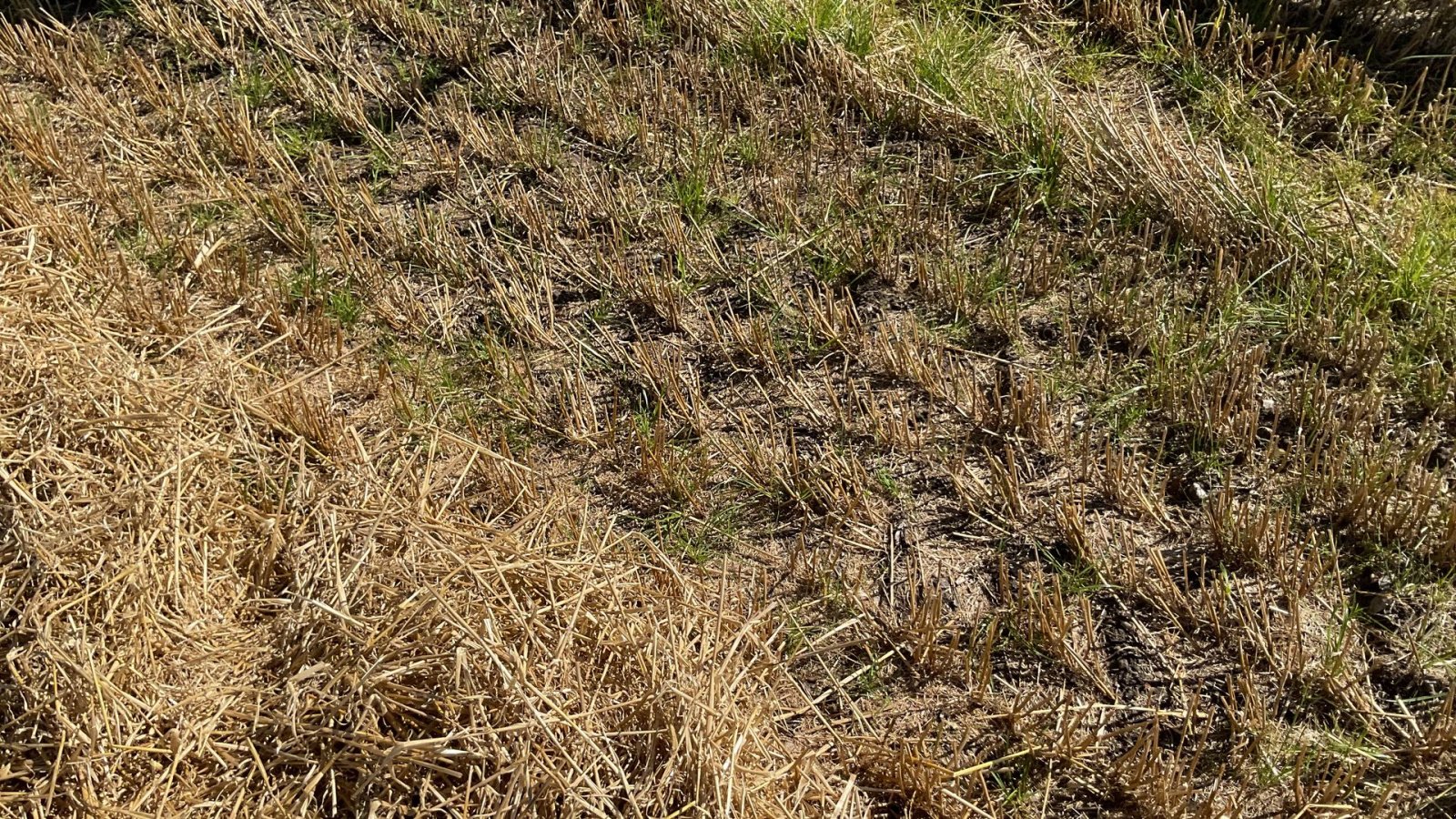 Muldenkipper типа Sonstige Tipvogn, Gebrauchtmaschine в Bording (Фотография 4)
