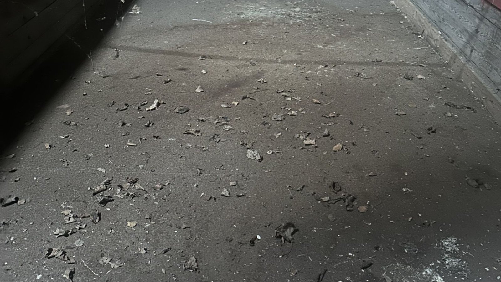 Muldenkipper van het type Sonstige tipvogn, Gebrauchtmaschine in øster ulslev (Foto 3)