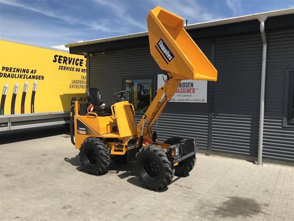 Muldenkipper des Typs Thwaites 1 t Fabriksny klar til levering., Gebrauchtmaschine in Rønnede (Bild 2)