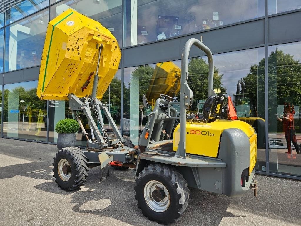 Muldenkipper of the type Wacker Neuson 3001hs, Gebrauchtmaschine in Fårevejle (Picture 6)